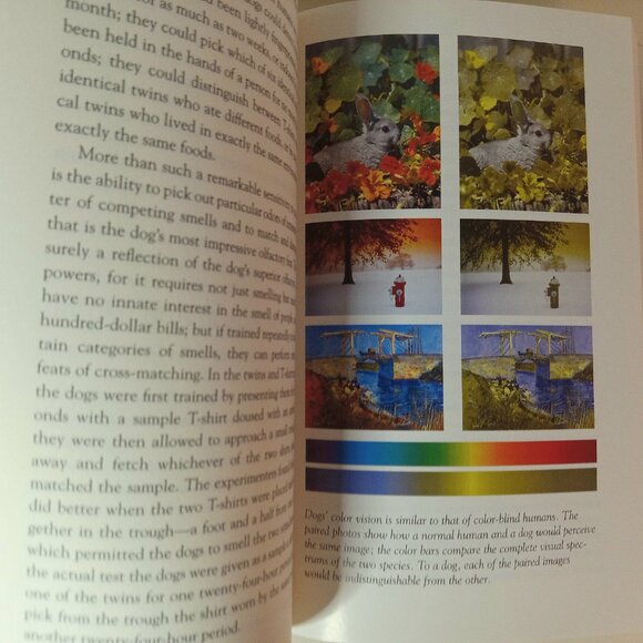 The Truth about Dogs by Stephen Budinsky - Picture 3 of 7